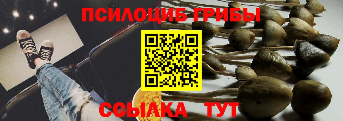 Озёры  Галлюциногенные грибы Psilocybe  Псилоцибиновые грибы Psilocybe  Вход с VPN 